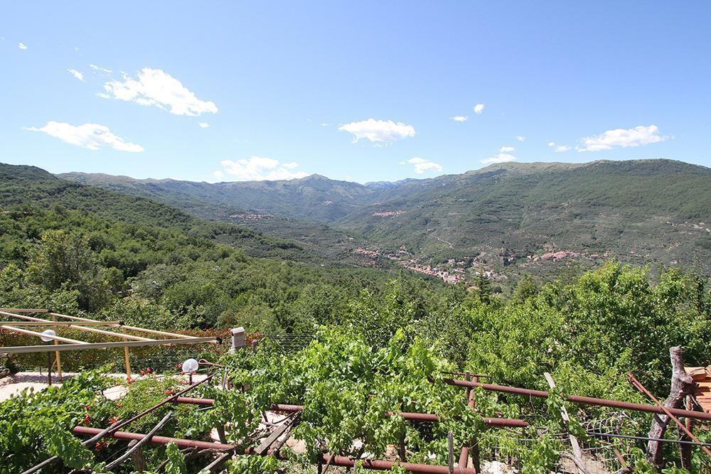 Agriturismo Nonni Devia Lucinasco Εξωτερικό φωτογραφία