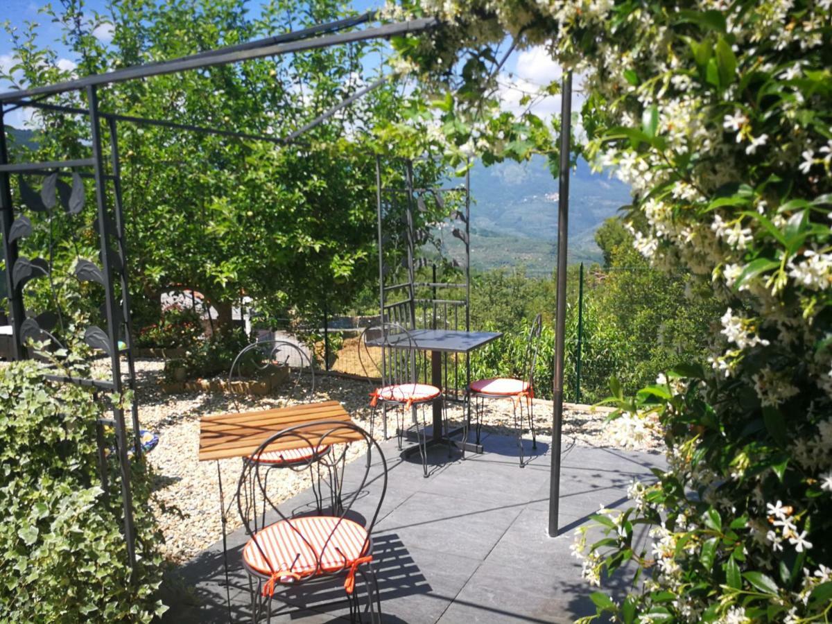 Agriturismo Nonni Devia Lucinasco Εξωτερικό φωτογραφία